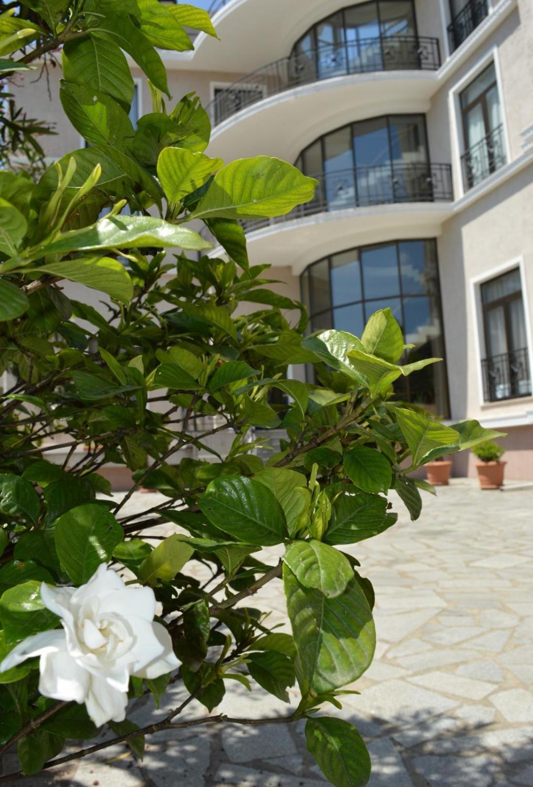 Boutique Hotel Argo 쿠타이시 외부 사진